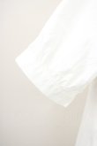 画像7: Fi.n.t / キンモクセイ刺繍レース衿ブラウス  白 T-25-03-14-004-CA-BL-SA-ZI (7)