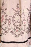 画像3: axes femme / スカート   T-25-03-15-036-AX-SK-SA-ZT (3)