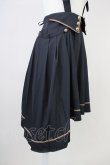 画像8: Amavel / Phantom Chandelierトレーン付スカート  黒Ｘゴールド T-25-03-17-024-CA-SK-SA-ZI (8)