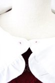 画像8: Secret Honey / 袖編み上げニットトップス  ボルドーＸ白 T-25-03-17-011-CA-TO-SA-ZT (8)