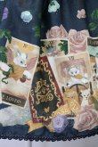 画像5: ALICE and the PIRATES / Mystical emotion〜クリスの心の囁き〜スカート  コン T-25-03-20-019-PA-SK-SA-ZT058 (5)