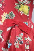 画像4: Jane Marple / Juicy fruitsパネルドレス  赤 T-25-03-27-022-JM-OP-SA-ZI (4)