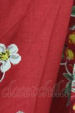 画像5: Jane Marple / Juicy fruitsパネルドレス  赤 T-25-03-27-022-JM-OP-SA-ZI (5)