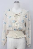 画像1: an another angelus / バラ刺繍シースルーブラウス  オフホワイト T-25-03-30-007-CA-BL-SA-ZT (1)