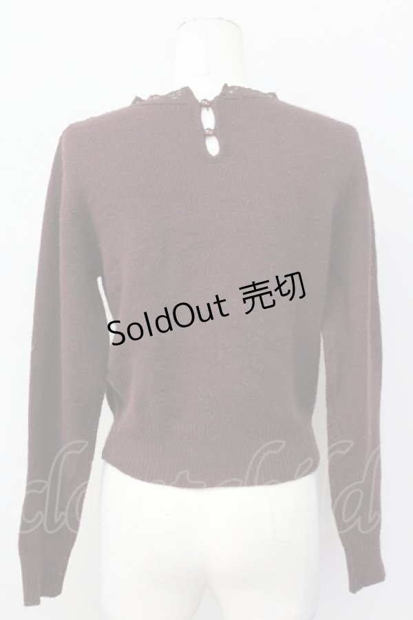 画像2: an another angelus / レース切り替えニット  ブラウン T-25-03-30-013-CA-TO-SA-ZT089 (2)