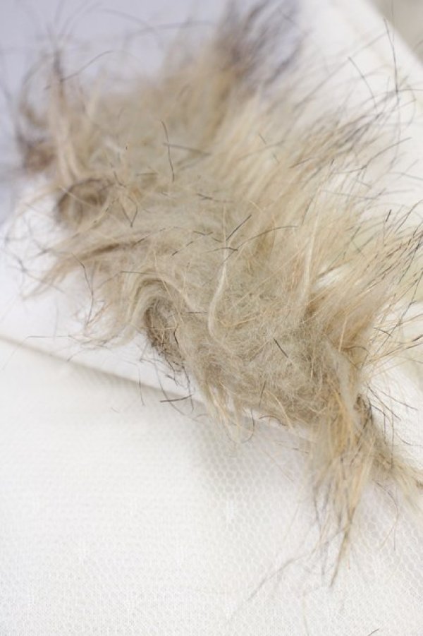 画像7: LIZ LISA / ドットチュール重ねショートコート  白 T-25-04-20-011-LO-CO-SA-ZI (7)