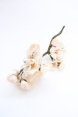 画像1: WONDERFUL WORLD / 桜コサージュ  ピンク T-25-04-25-011-LO-ZA-SA-ZT (1)