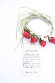 画像5: WONDERFUL WORLD / ストロベリーブレスレット  グリーン×レッド T-25-04-25-014-LO-ZA-SA-ZT (5)