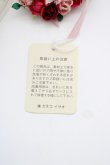 画像5: WONDERFUL WORLD / ミニバラチョーカー  ピンク T-25-04-26-004-LO-AC-SA-ZT (5)