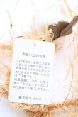 画像3: WONDERFUL WORLD / バラ付きアームコサージュ  ホワイト T-25-04-26-001-LO-ZA-SA-ZT (3)