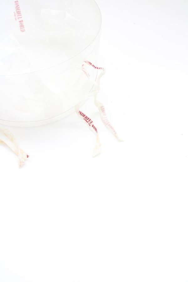 画像6: WONDERFUL WORLD / リース被りクマコサージュ  ピンク×グリーン T-25-04-26-013-LO-ZA-SA-ZT323 (6)