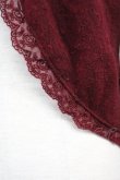 画像5: axes femme / 起毛レース切替ボレロ  ボルドー T-25-05-16-031-AX-TO-SA-ZT (5)