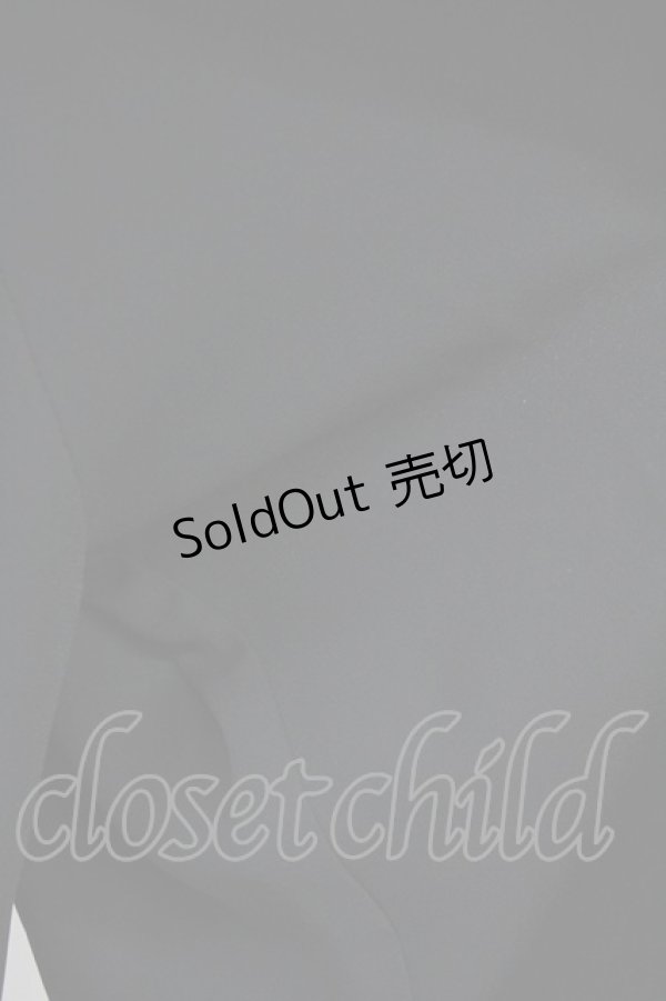 画像9: 【SALE】Jamie エーエヌケー / ハーネススキーム M ブラック T-25-05-23-004-LO-TO-SA-ZT370 (9)