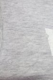 画像5: Jane Marple / 額縁プリントノースリーブカットソー  グレーＸ白 T-25-06-06-011-JM-TO-SA-ZT129 (5)