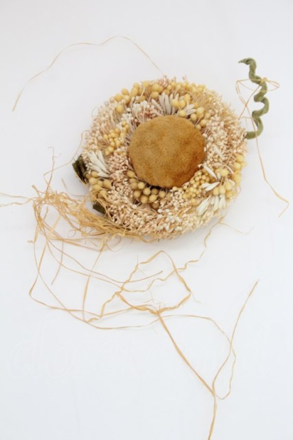 画像1: KANEKO ISAO / ベロアローズコサージュ  ベージュ系 T-25-06-28-021-EL-AC-OW-ZT-K015 (1)