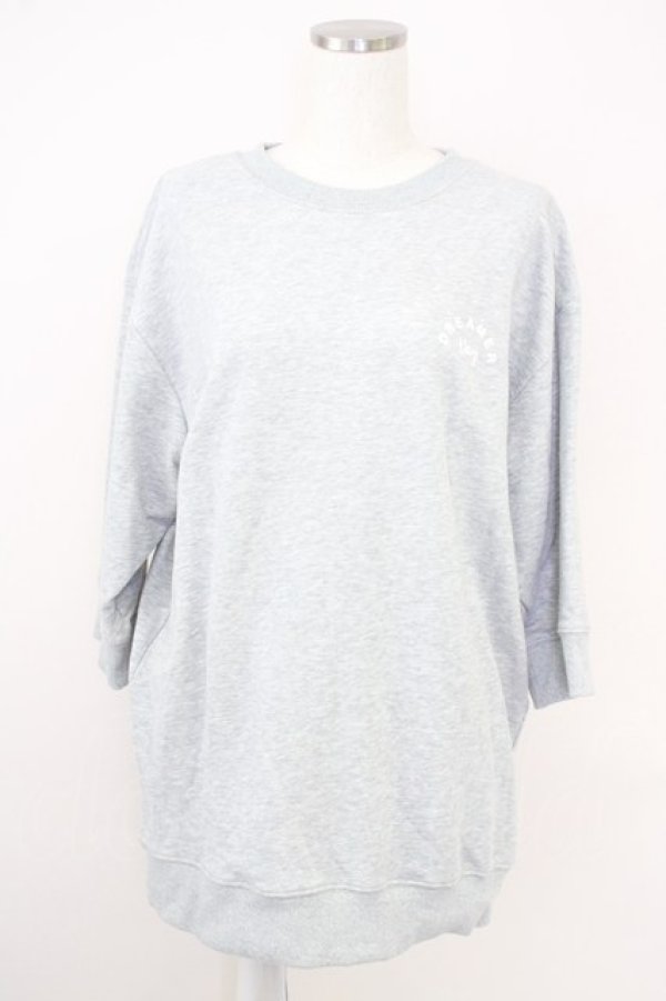 画像1: axes femme / 薔薇刺繍×英字プルオーバー L グレー T-25-07-05-004-AX-TO-SA-ZI (1)