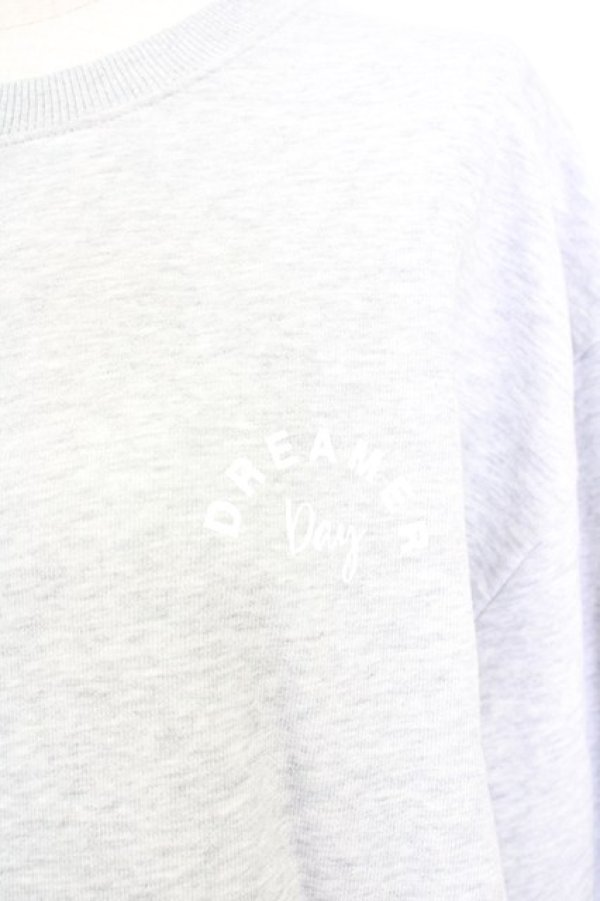 画像3: axes femme / 薔薇刺繍×英字プルオーバー L グレー T-25-07-05-004-AX-TO-SA-ZI (3)