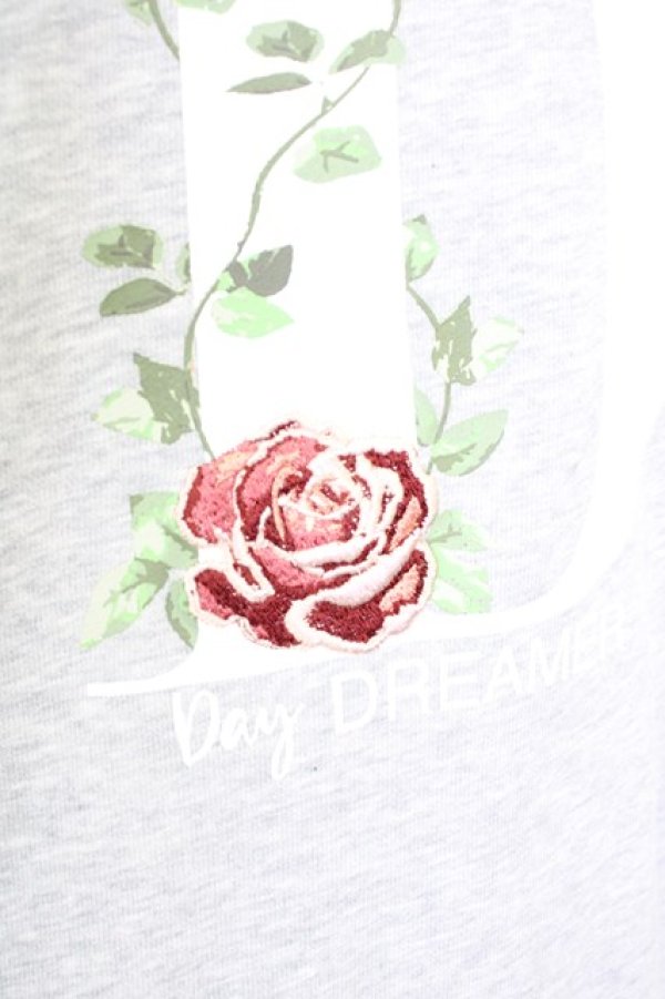 画像5: axes femme / 薔薇刺繍×英字プルオーバー L グレー T-25-07-05-004-AX-TO-SA-ZI (5)