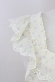 画像4: Franche Lippee / 刺繍シースルートップス  アイボリー T-25-07-17-004-LO-TO-HI-ZT (4)