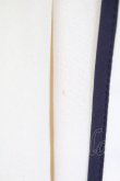 画像4: axes femme POETIQUE / パイピングバックフリルスカート  オフ T-25-07-17-052-AX-SK-HI-ZT (4)