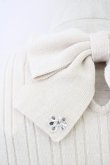 画像3: LODISPOTTO / ビジュートップス  ピンク T-25-08-03-025-LO-TO-AS-ZT (3)