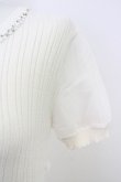 画像5: LODISPOTTO / ビジュートップス  ピンク T-25-08-03-025-LO-TO-AS-ZT (5)