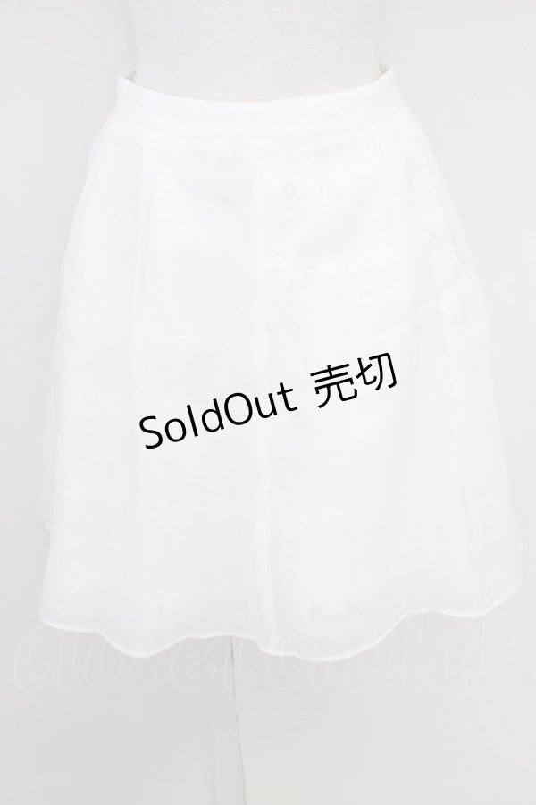 画像1: LODISPOTTO / チュールレイヤードスカート  白 T-25-08-03-035-LO-SK-AS-ZT330 (1)