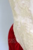 画像10: LACE MADE / 「スペイン野薔薇」コルセットドレス M ゴールドＸ赤 T-25-08-06-016-LO-OP-SA-ZI (10)