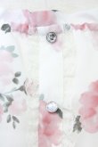 画像4: LODISPOTTO / シフォン花柄ワンピース  白ｘピンク T-25-08-09-016-LO-OP-AS-ZT492 (4)