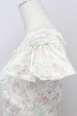 画像3: Emily Temple cute / バレリーナローズノースリーブワンピース  オフ T-25-08-10-010-ET-OP-ET-ZT0921F (3)