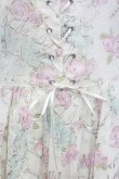 画像4: Emily Temple cute / バレリーナローズノースリーブワンピース  オフ T-25-08-10-010-ET-OP-ET-ZT0921F (4)