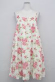 画像1: Jane Marple /English Roseストラップドレス  オフ T-25-08-10-011-JM-OP-ET-ZT349 (1)