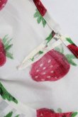 画像7: Jane Marple /Strawberry field　sheer dress - オフ T-25-08-10-016-JM-OP-ET-ZT (7)