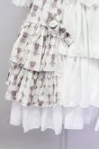 画像5: ATELIER PIERROT / Rosy Bouquet Dress 1 ライトグレー T-25-08-25-016-EL-OP-SA-ZT (5)