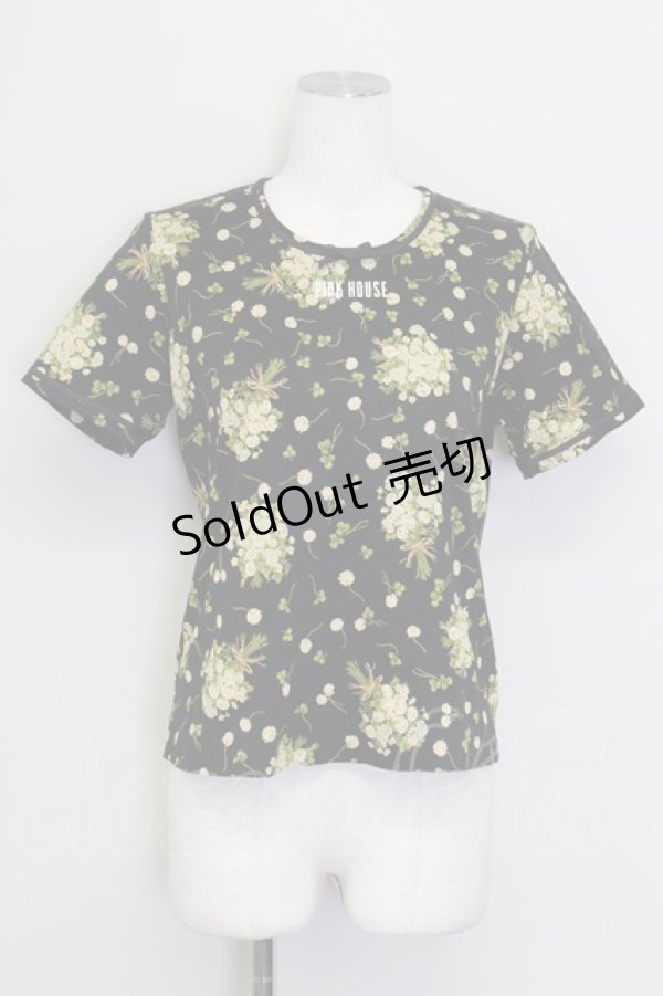 画像1: PINK HOUSE / シロツメクサ&クローバー半袖カットソー  黒 T-25-08-30-008-LO-TO-SA-ZT221 (1)