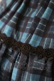 画像4: Moonrise Theater / Lyra Skirt  青チェック T-25-09-05-023-LO-SK-SA-ZI (4)