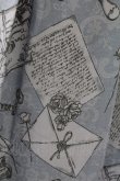 画像3: axes femme POETIQUE / プリュムプリントスカート  ブルー T-25-09-05-024-AX-SK-SA-ZI (3)