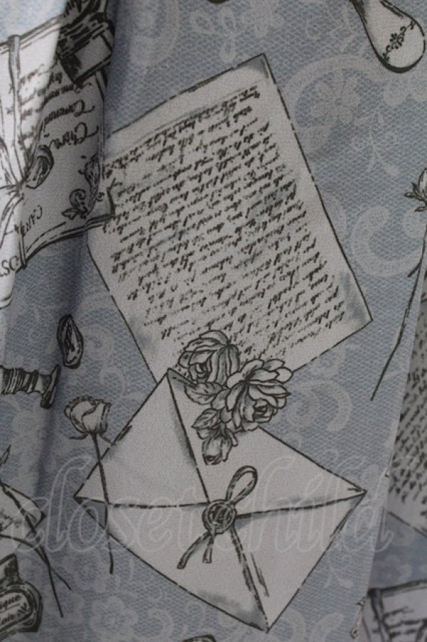 画像3: axes femme POETIQUE / プリュムプリントスカート  ブルー T-25-09-05-024-AX-SK-SA-ZI (3)