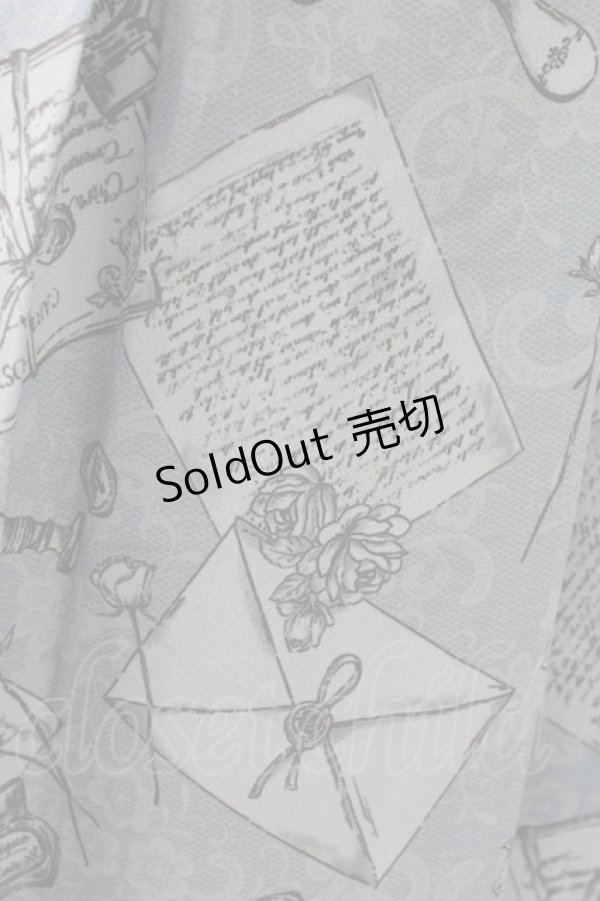 画像3: axes femme POETIQUE / プリュムプリントスカート  ブルー T-25-09-05-024-AX-SK-SA-ZI (3)