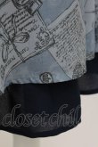 画像5: axes femme POETIQUE / プリュムプリントスカート  ブルー T-25-09-05-024-AX-SK-SA-ZI (5)