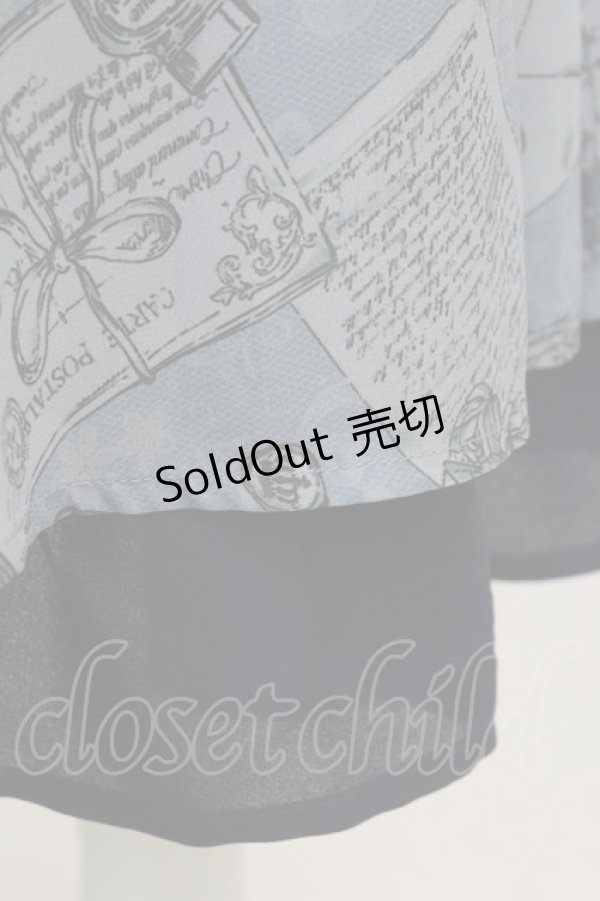 画像5: axes femme POETIQUE / プリュムプリントスカート  ブルー T-25-09-05-024-AX-SK-SA-ZI (5)