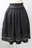 画像1: axes femme POETIQUE / ロゴ刺繍プリーツスカート M ブラック T-25-09-05-025-AX-SK-SA-ZI (1)