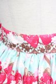 画像4: BABY,THE STARS SHINE BRIGHT / Creamy Berry Fairy Dreamスカート  ミント T-25-09-10-031-BA-SK-SA-ZI (4)