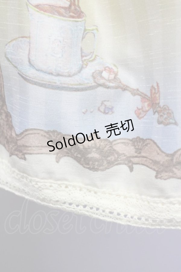 画像3: Enchantlic Enchantilly / キャトラリースカート  生成 T-25-09-10-032-LO-SK-SA-ZI (3)