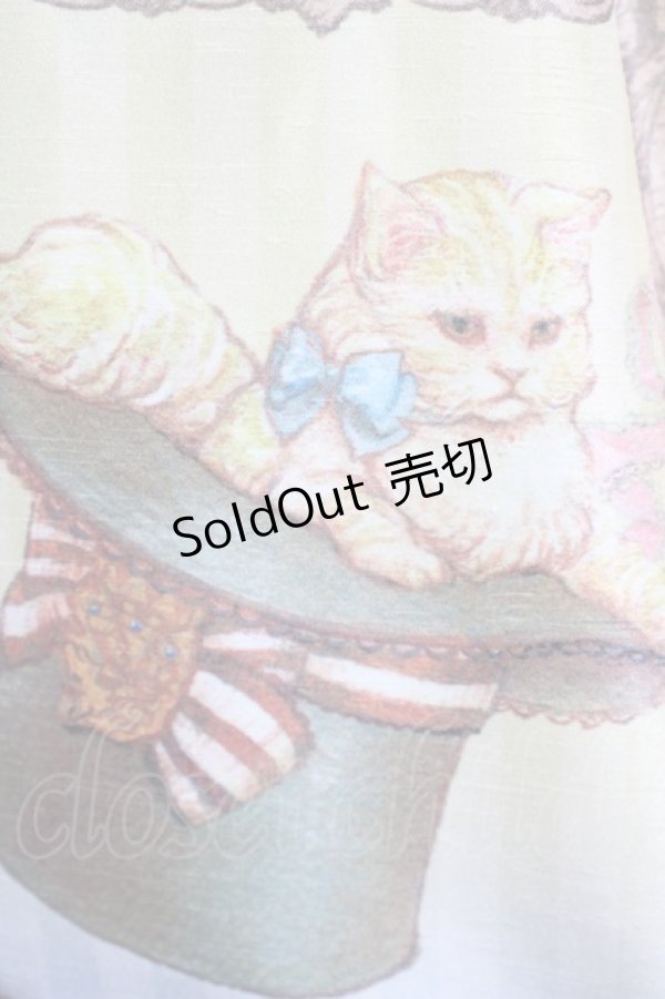 画像5: Enchantlic Enchantilly / キャトラリースカート  生成 T-25-09-10-032-LO-SK-SA-ZI (5)