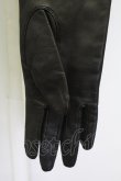 画像3: alice auaa / G/レザーロンググローブ  ブラック T-25-09-12-025-AA-ZA-SA-ZI (3)