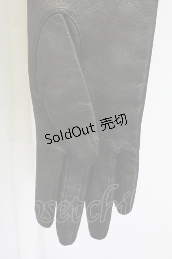 画像3: alice auaa / G/レザーロンググローブ  ブラック T-25-09-12-025-AA-ZA-SA-ZI (3)