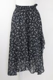 画像1: Ank Rouge / フラワー総柄シフォンロングスカート  黒Ｘグレー T-25-09-24-027-CA-SK-SA-ZT427 (1)