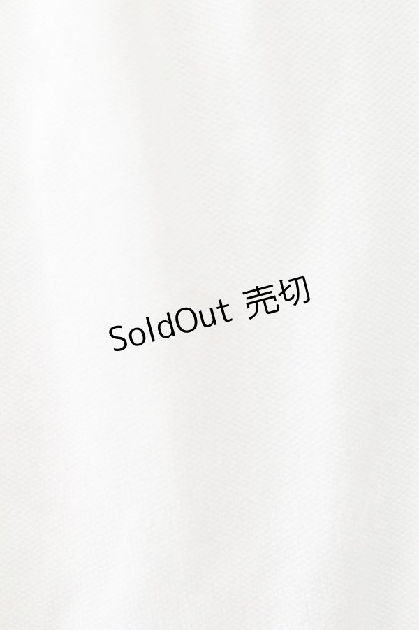 画像5: axes femme / 裾プリーツチュールペチスカート  アイボリー T-25-09-24-008-AX-SK-SA-ZT423 (5)