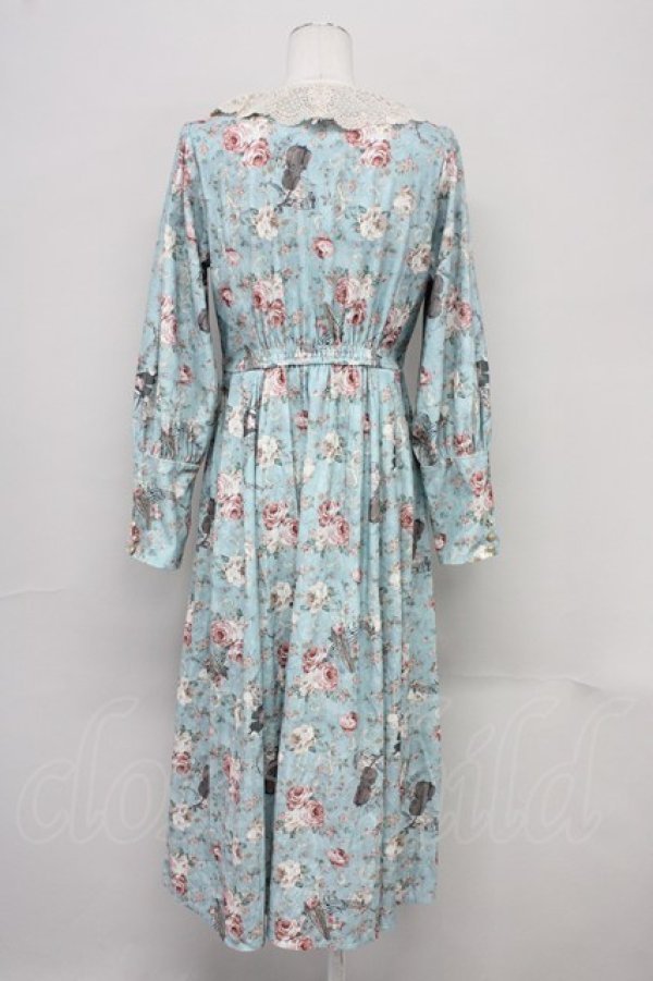 画像2: axes femme / 音楽と薔薇柄ドレス風ワンピース M グリーン T-25-10-10-026-AX-OP-SA-ZT135 (2)